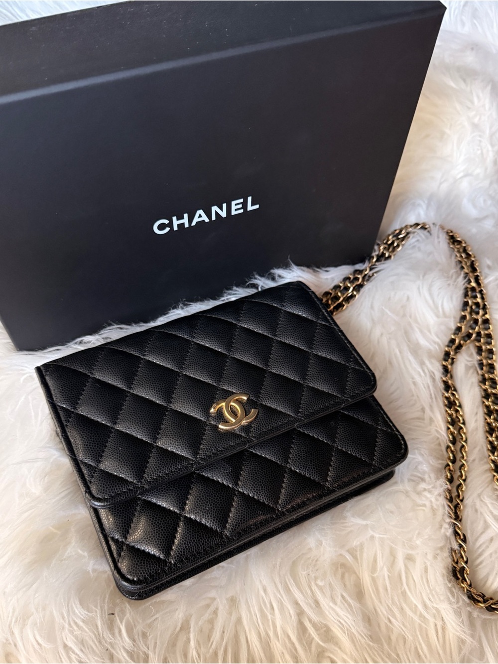 CHANEL Black Quilted Mini Wallet on Chain with Gold Hardware